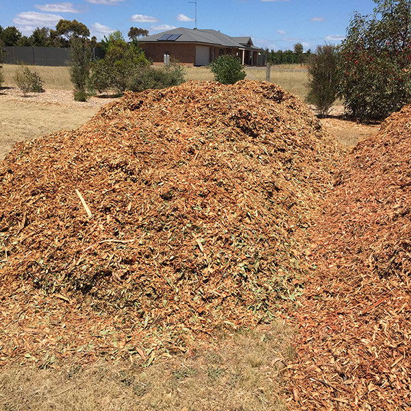 Acorn Tree Services