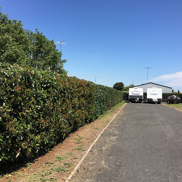 Acorn Tree Services