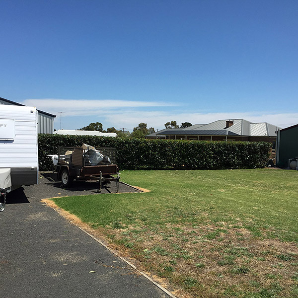 Acorn Tree Services
