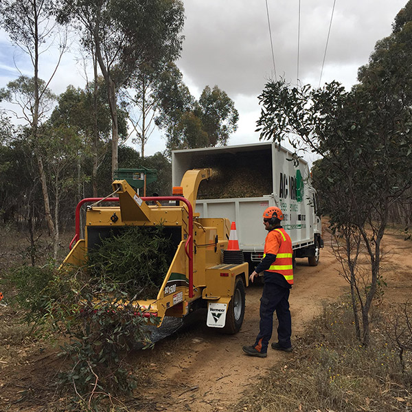 Acorn Tree Services
