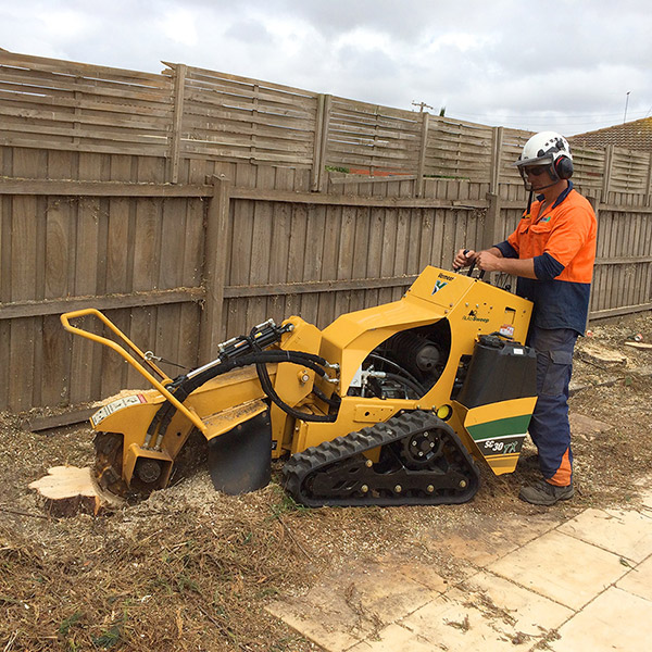 Acorn Tree Services - Stump Grinding